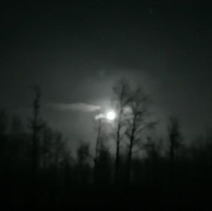 Meet your Posher, Desiree